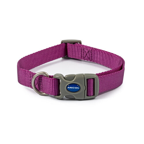 Ancol Viva Nylon Adjustable Collar Purple 30-50cm Size 2-5