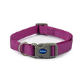 Ancol Viva Nylon Adjustable Collar Purple 30-50cm Size 2-5