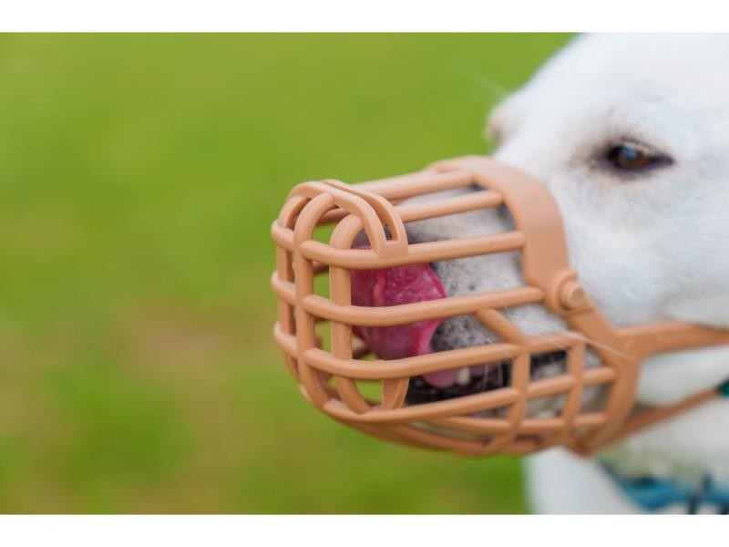 Baskerville Classic Basket Muzzle Size 6