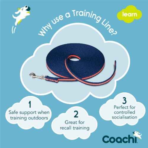 Coachi Navy & Coral Dog Training Lead - 10m