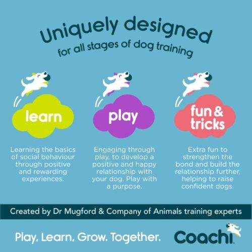 Coachi Navy & Coral Dog Training Lead - 10m