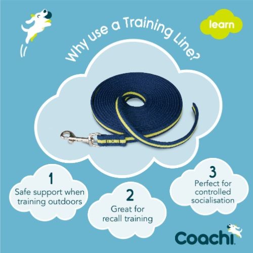 Coachi Navy & Lime Dog Training Lead - 5m