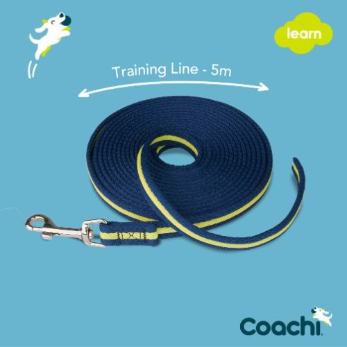 Coachi Navy & Lime Dog Training Lead - 5m