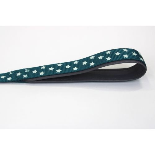 Doodlebone Pattern Dog Lead Teal Stars Glow in the Dark 20mm