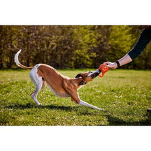 DOGGI Catch And Carry Medium Dumbbell Dog Toy For Chew And Fetch-The Pet Superstore