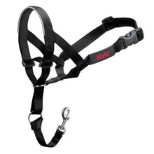 HALTI Headcollar for Dogs Black Size 1 Training Collar-The Pet Superstore