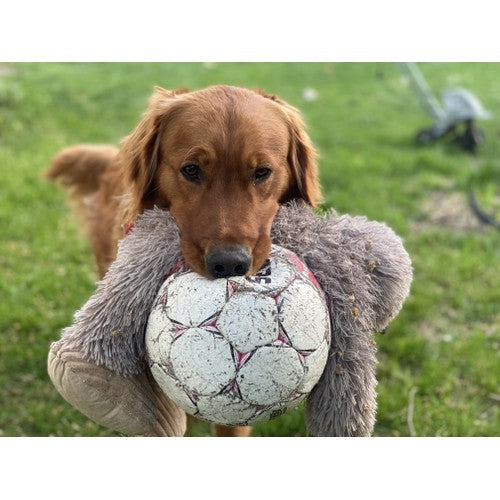 (D) Tall Tails Plush Rope Body Stuffless Bigfoot