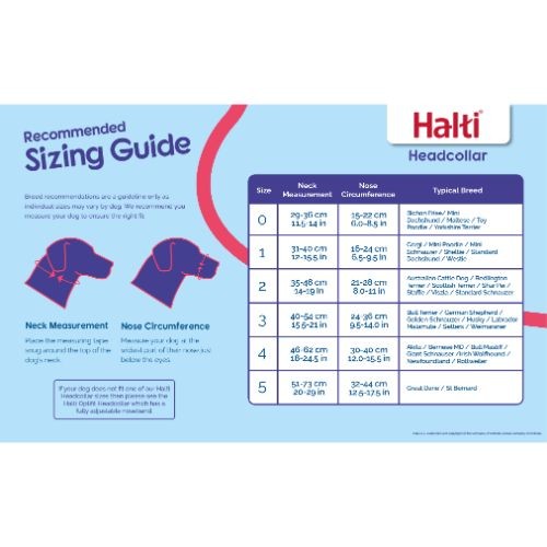 Halti Black Headcollar for Dogs Size 1