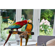 Johnson's Parrot Bumper Bars D Series For Nursery Use-The Pet Superstore