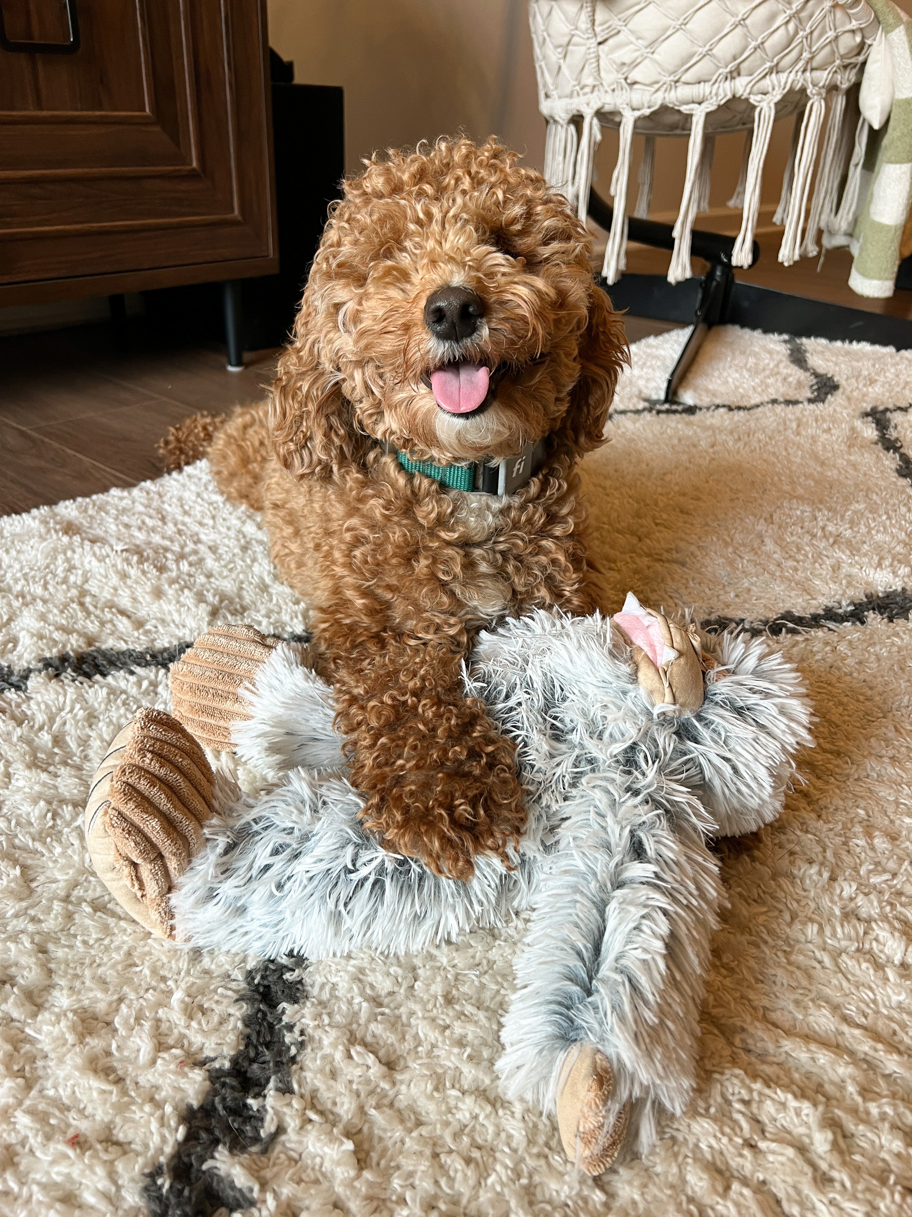 (D) Tall Tails Plush Yeti Toy