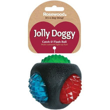 Rosewood Jolly Doggy Catch And Flash Ball Dog Toy-The Pet Superstore