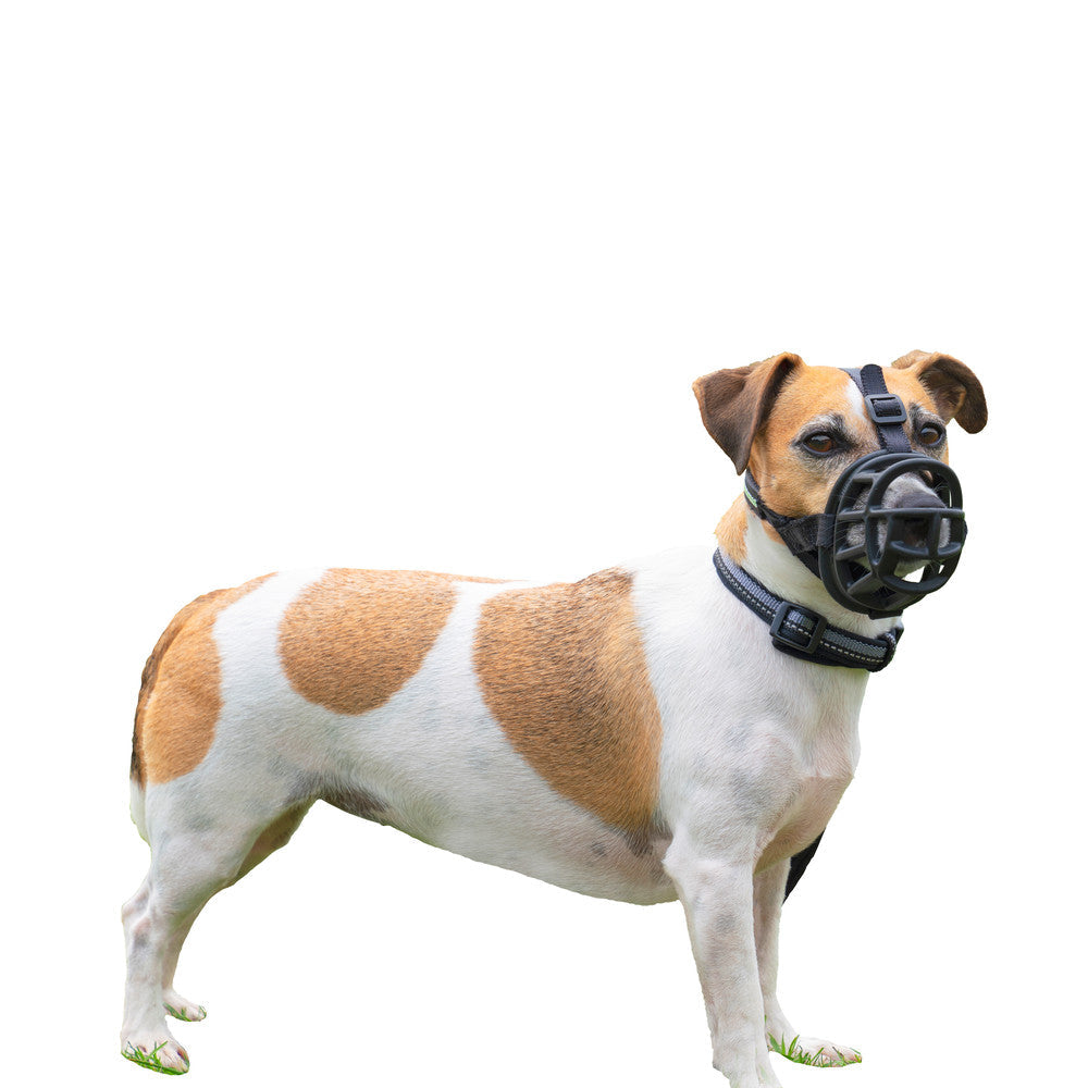 Baskerville Ultra Dog Muzzle Size 2